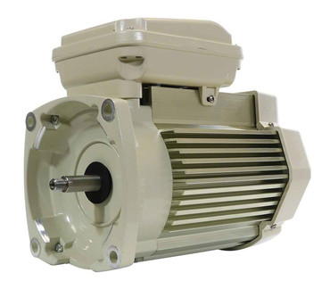 Pentair Pentair TEFC Replacement Motor 1 HP, 115/208V - 354821S
